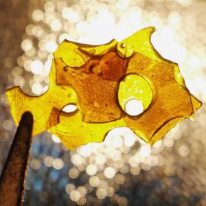 BEST DEALS ON CONCENTRATES